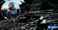 Seremi del Trabajo ofrece disculpas tras relacionar cierre de aserraderos a baja del robo de madera