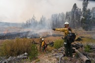 Idaho firefighter dies working prescribed burn