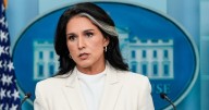 Gabbard may have undermined investigation into ex-CIA director, officials say