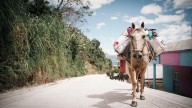 'Caminos Comunitarios para la Paz', la mayor apuesta en infraestructura del gobierno Petro, tiene una ejecución total que no llega al 10 %