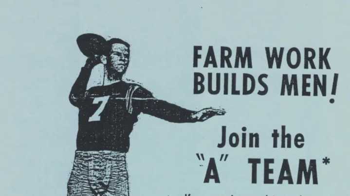 El programa con el que hace 60 años EE.UU. quiso sustituir a agricultores migrantes con estudiantes