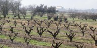 El fenómeno atmosférico que llega desde el Pacífico: aviso a cosechas y cultivos de Aragón