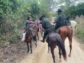 A lomo de caballo Policía Nacional en Bolívar garantizó la seguridad durante Domingo de Ramos
