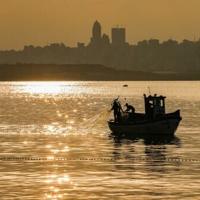 WTO fishing deal: the net results