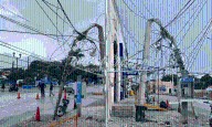 CFE no repara postes “hasta que se caigan”: se desploma uno en Temax y los deja sin luz