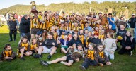 South Burnie secure 2025 DFA flag with 56