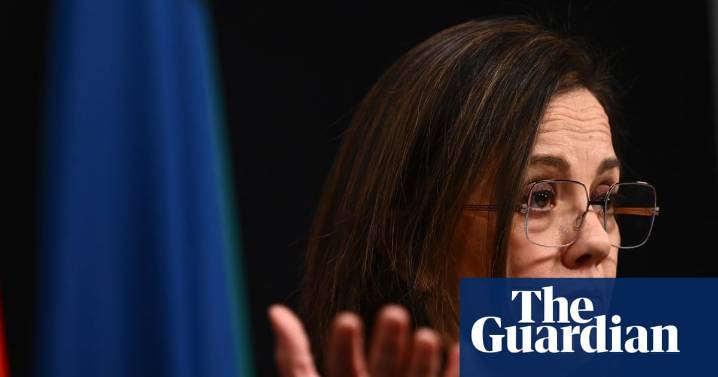 ‘Grave concerns’ from states over Labor plan to move autism services off NDIS