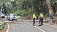 Intentan sabotear La Vuelta con un gigantesco tronco en la carretera