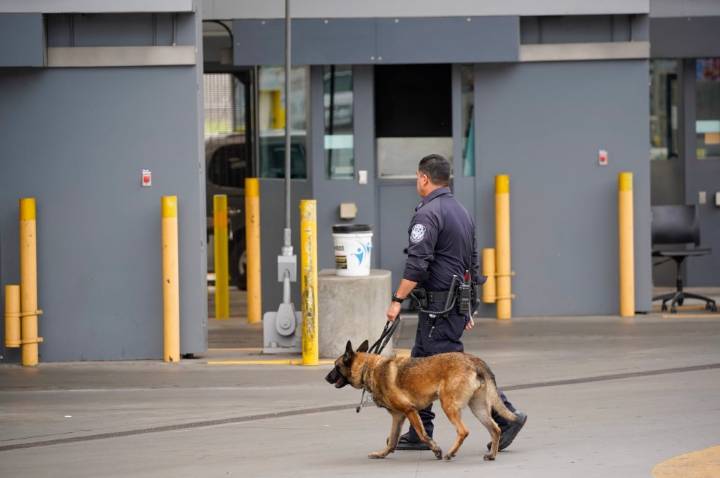 Reports of ‘blind mule’ drug couriers grow in San Diego