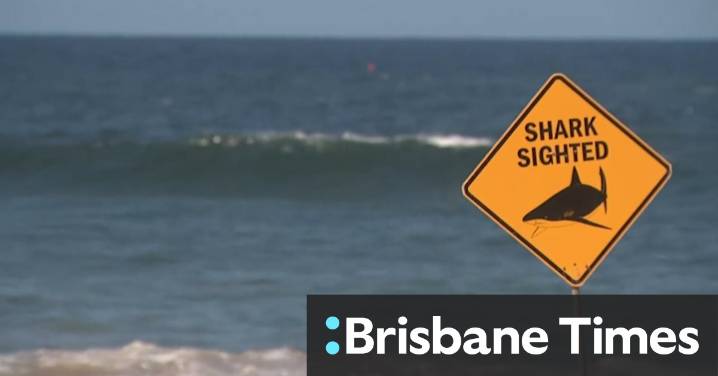 Tributes flow for surfer killed by shark near Dee Why