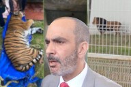 ¿Qué dice la PGJEH sobre el caso de los felinos exóticos hallados en Pachuca?