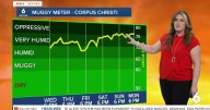 Rain will be a 'miss' for many on Thursday before an uptick this weekend