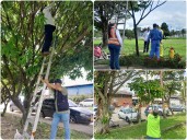 El ICA realizó brigada fitosanitaria para contribuir a la buena cosecha de frutas en el Meta