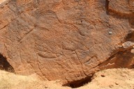 Scientists find ancient life-size animal rock carvings in the Saudi Arabian desert
