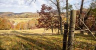 Forecast warns of muted fall colors for West Virginia and Appalachians
