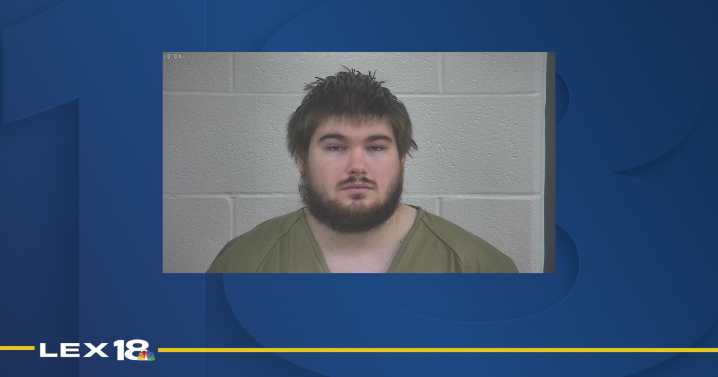 London man arrested on charges related to child sex abuse material, police report