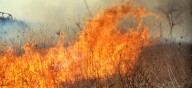 ODNR, State Fire Marshal Warn of Elevated Wildfire Risk Ahead of...