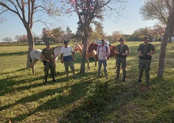 Ituzaingó: recuperaron tres caballos robados en Isla Apipé