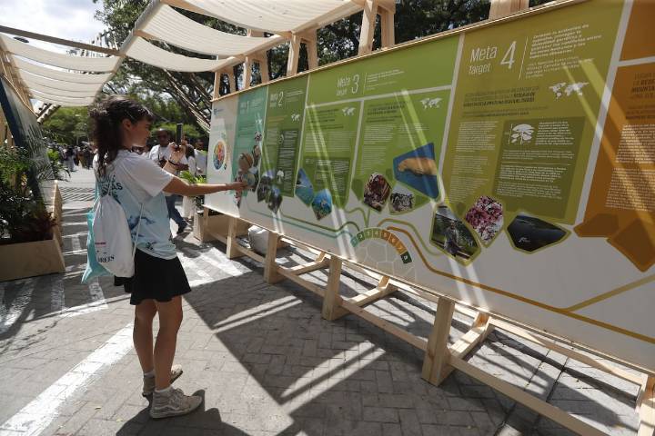 Cali impulsa la bioeconomía como motor de competitividad en la Semana de la Biodiversidad