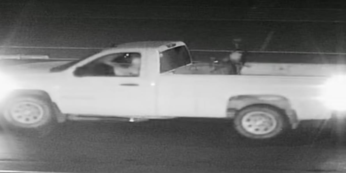 Camdenton Police Department searching for football field vandal