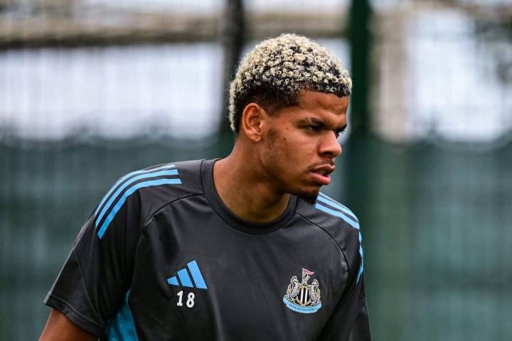 Will Osula set to stay at Newcastle despite deadline day Eintracht Frankfurt interest