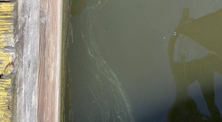 Esopus mulls water treatment protocols amid Hudson River’s harmful algae blooms