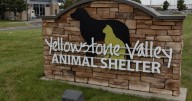 Scammers exploit meth burning mishap that shut down Billings animal shelter