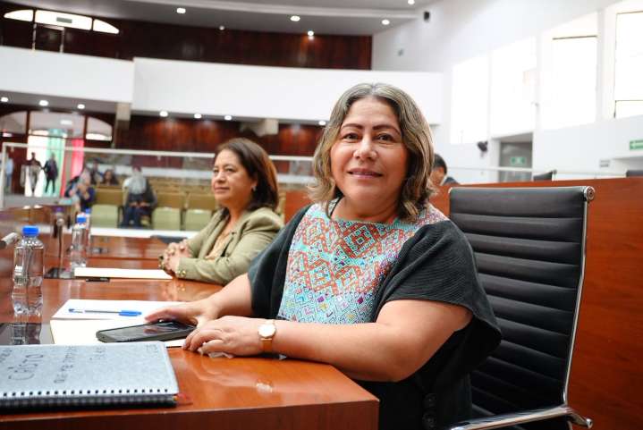 Diputada Blanca Águila se declara independiente en el Congreso local
