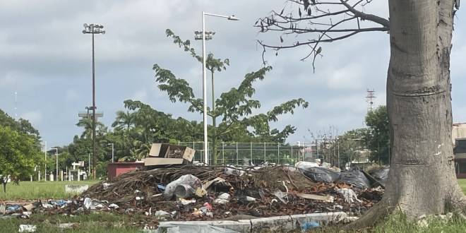 Llaman a sumarse a la lucha contra el dengue