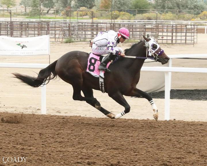 Local Horse Steals The Show With A Record-breaking Win in Rock Springs