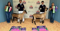 Kern County Fair: Day Two The Dairy Goat Show