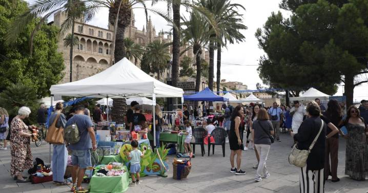 Participativo mercadillo solidario de la Fundación RANA en el Parc de la Mar