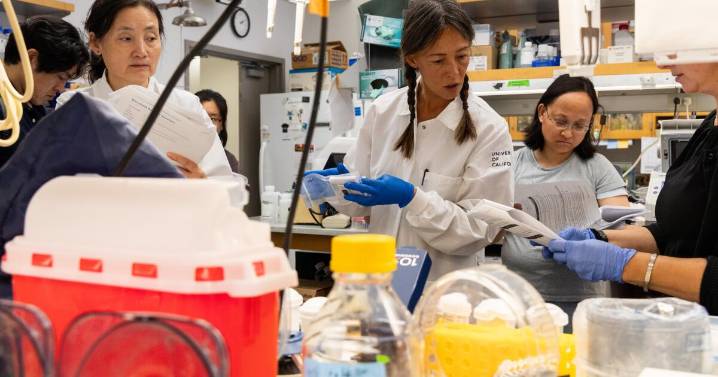 Federal judge orders Trump to restore $500 million in frozen UCLA medical research grants