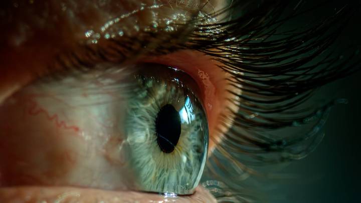 Investigación científica reveló la razón por la que los seres humanos experimentan ilusiones ópticas