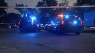 4 in custody after shooting involving Warren officers and stolen vehicle chase