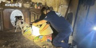 Nearly 200 animals rescued in less than two weeks, Nashville animal organization seeks supplies