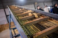 LAS BREÑAS: Zdero Acompañó La Apertura de la empresa de Agro Servicios Bru y Ka S.R.L