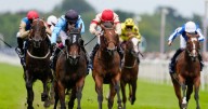 'He excelled himself when finding only Asfoora too good in the Nunthorpe'