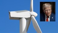 Judge Overrules Trump, Allowing Massachusetts Wind Farm To Resume Construction