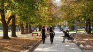 Pronóstico del tiempo en Mendoza: este domingo habrá buen tiempo y el lunes subirá la temperatura