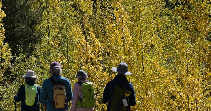 Colorado deputies set up blockade before Guanella Pass due to major fall colors traffic jam