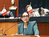 Senado de la República: oposición advierte por deterioro democrático