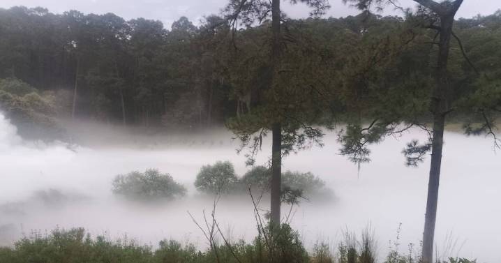 Alerta en Tlaxcala por fuga de gas: hay evacuaciones en comunidades de Nanacamilpa