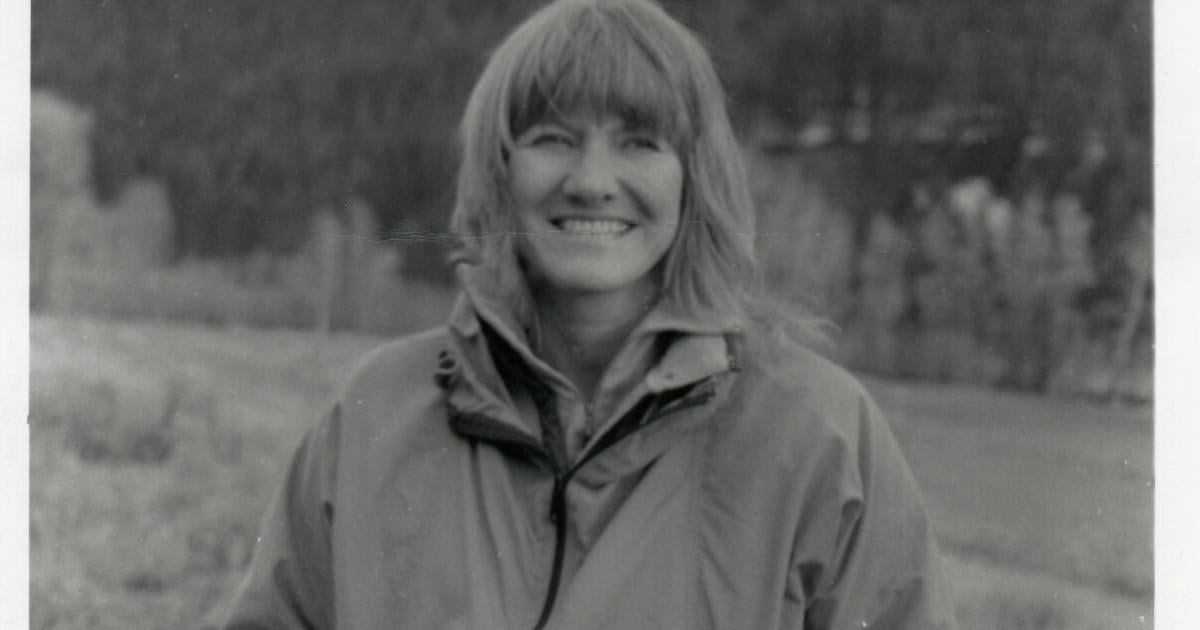 Lynne Stone