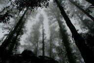 Haunted Illinois: Two Urban Legends That Still Terrify