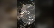 Fireworks fly hours before the first day of classes at the University of Minnesota