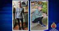 Hamilton police searching for missing woman