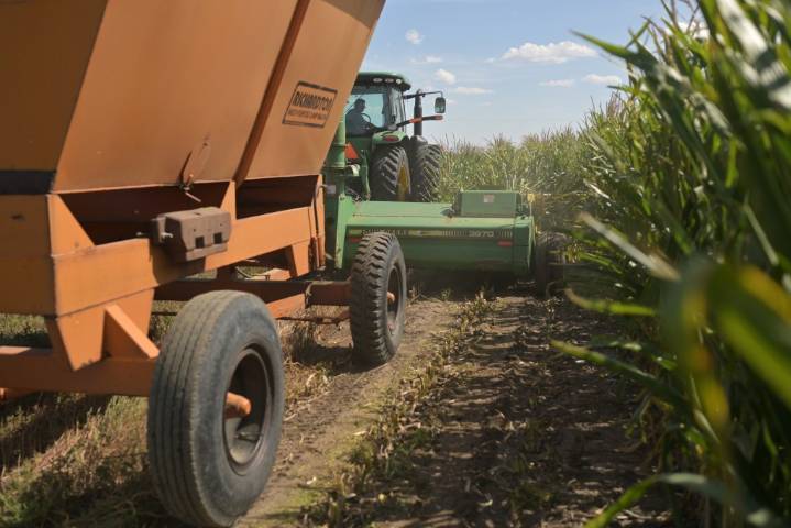 Nebraska canal fight threatens northeastern Colorado farmers' water