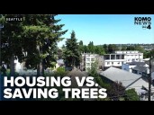 Seattle council weighs housing needs vs. tree preservation in growth plan debate