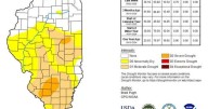 State Climatologist Trent Ford addresses the drought conditions in central Illinois
